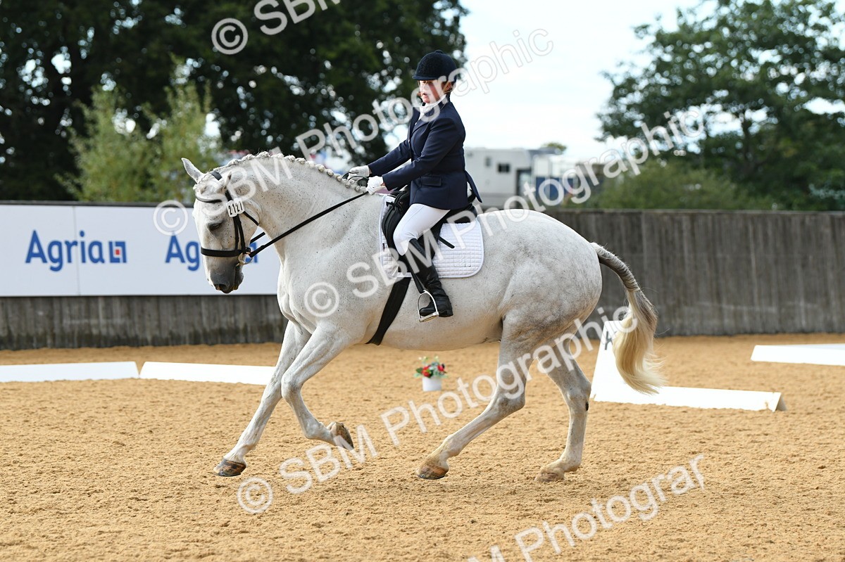 SBM_12496 - D19 Small Tour Championship Elementary 42