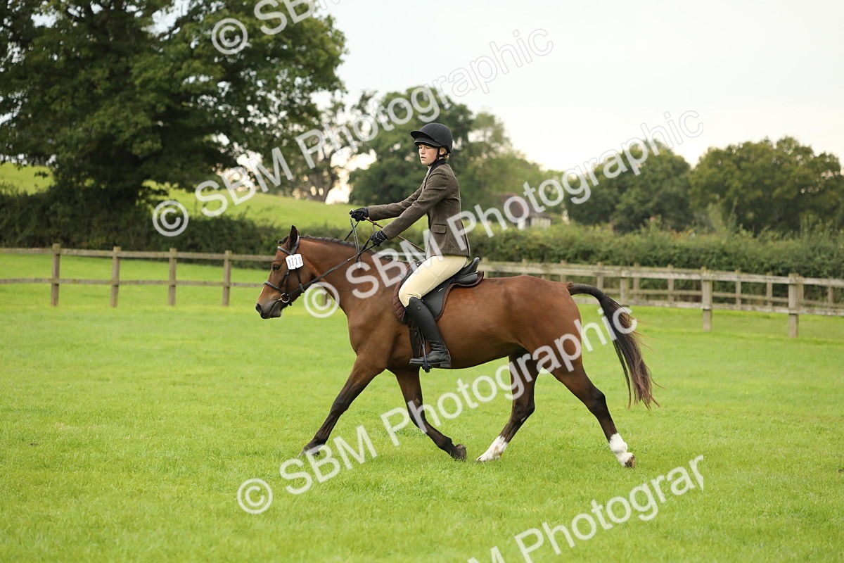 SBM_73703 - S41 - Ridden Equitation (Best Rider)