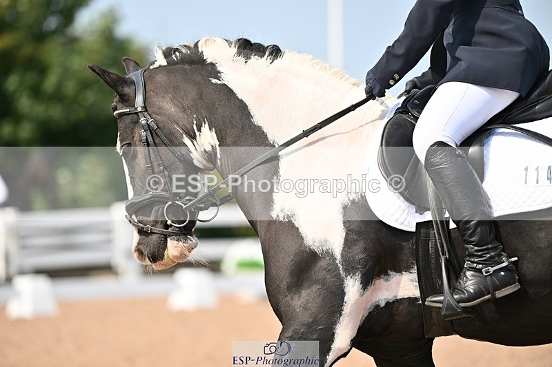 250816-132253-04671 - 114-Stacey.DonnisonPaddy.XIII