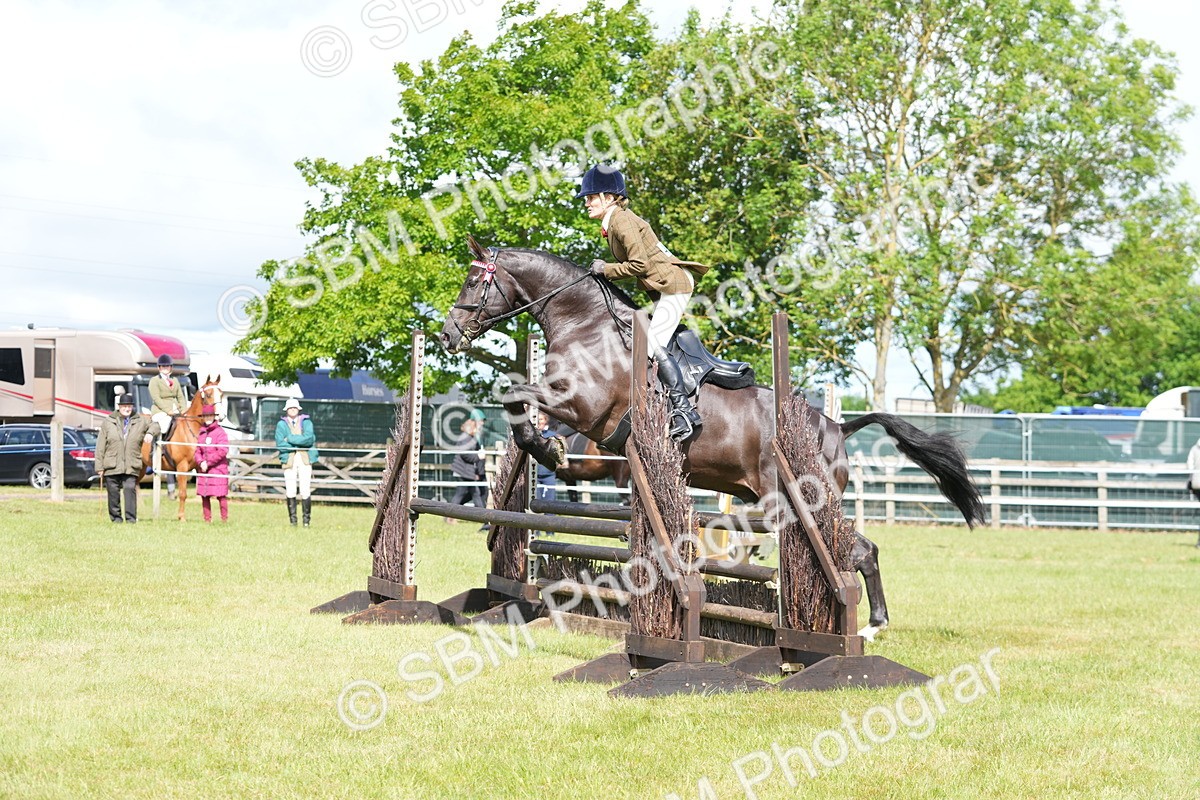SBM_12886 - Class 99 - RIHS SEIB Working Show Horse