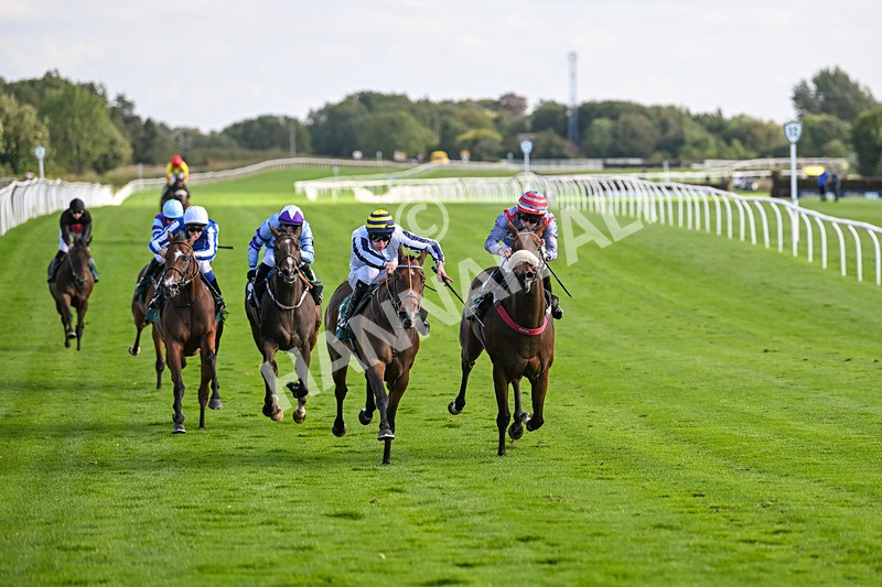 100924-Race 4-Scarboroughwarning-0329 - Race 4