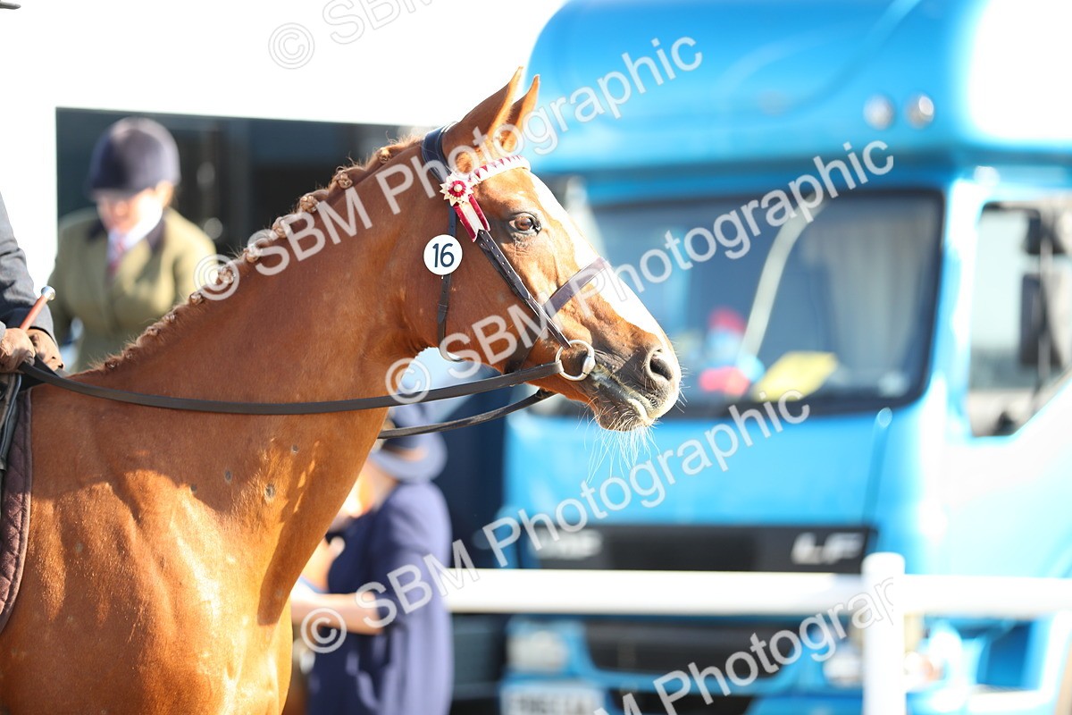 SBM_00444 - Class 41 Best Turned Out Ridden