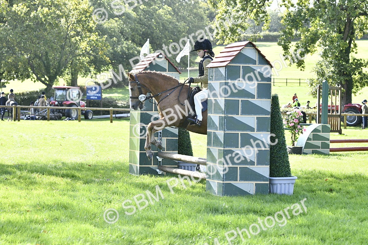 SBM_38222 - S31 - Novice & Newcomer Working Hunter Pony