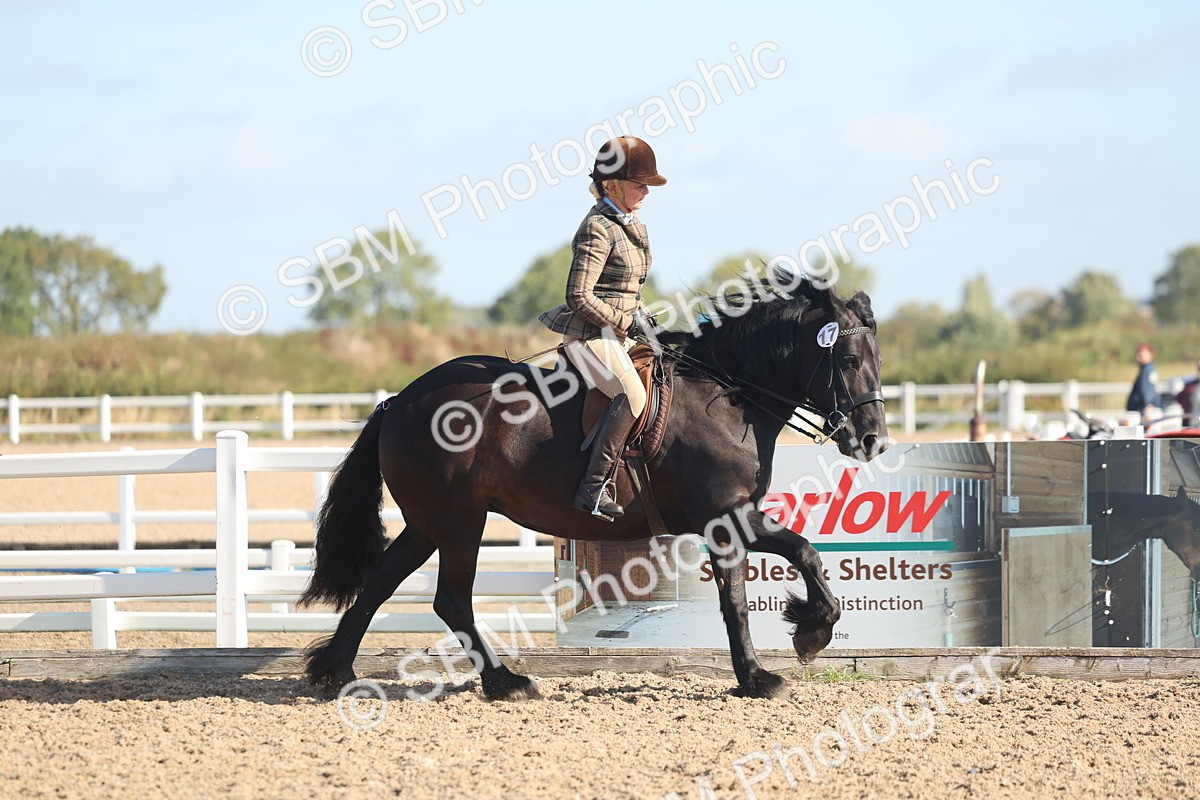 SBM_22298 - Class 803 - Ridden Combination 65+