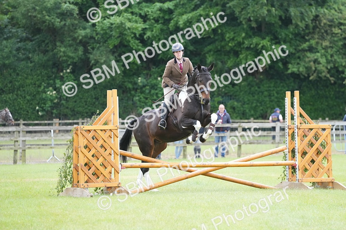 SBM_12553 - Class 97-98 - LIHS BSHA Rising Star Working Show Horse Hunter