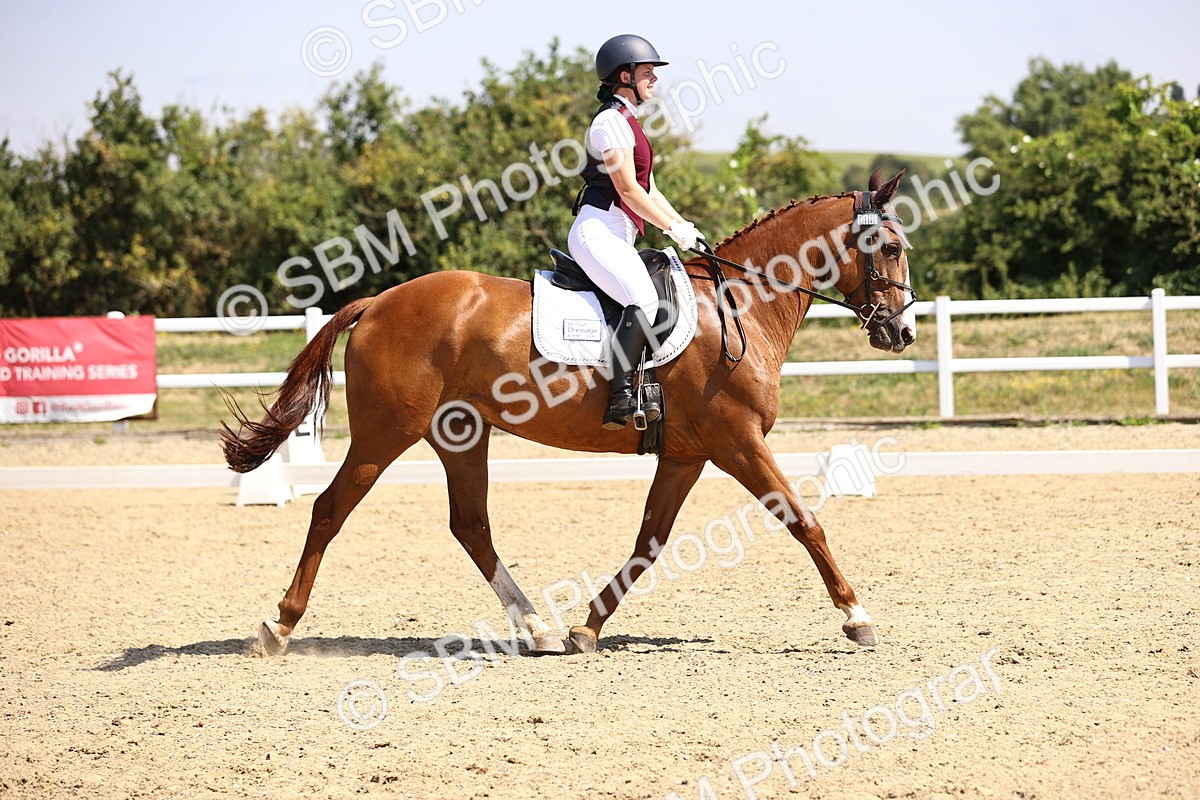 SBM_003697 - Intro 2