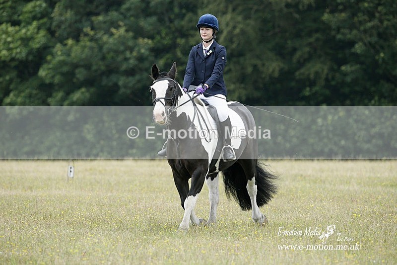BVRC 030721 20 - Bourne Valley Riding Club Dressage 03/07/21