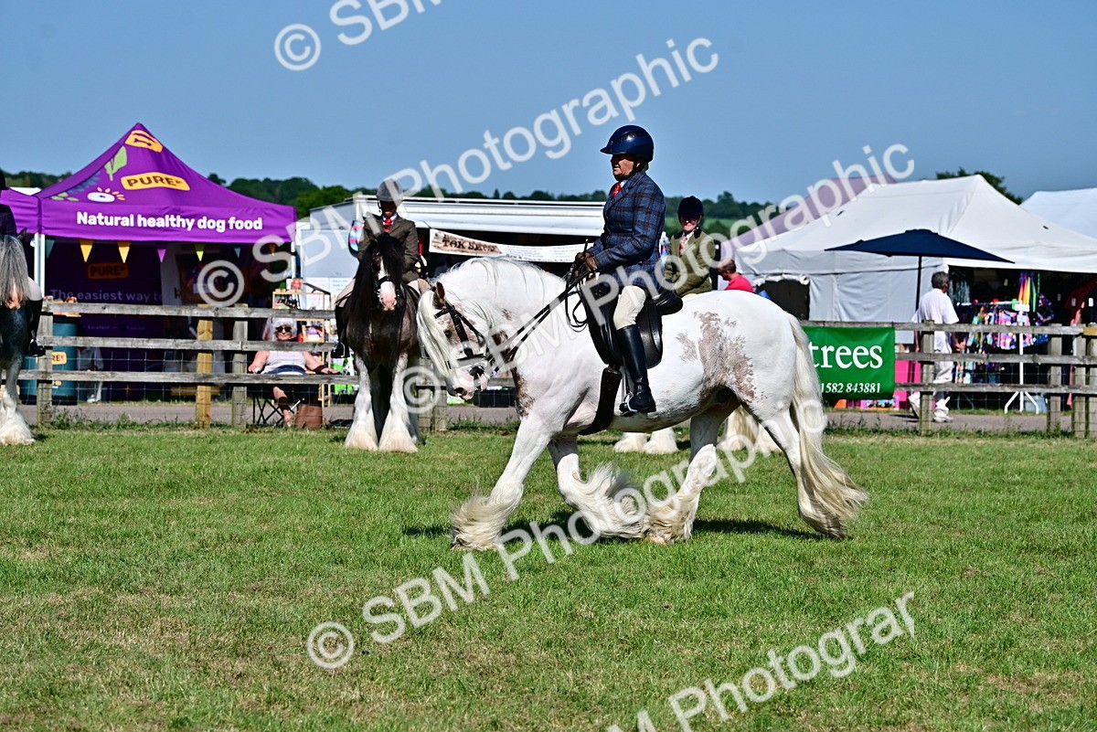SBM_19402 - Class 101-102 - BSPS LIHS Performance Coloured Horse/Pony