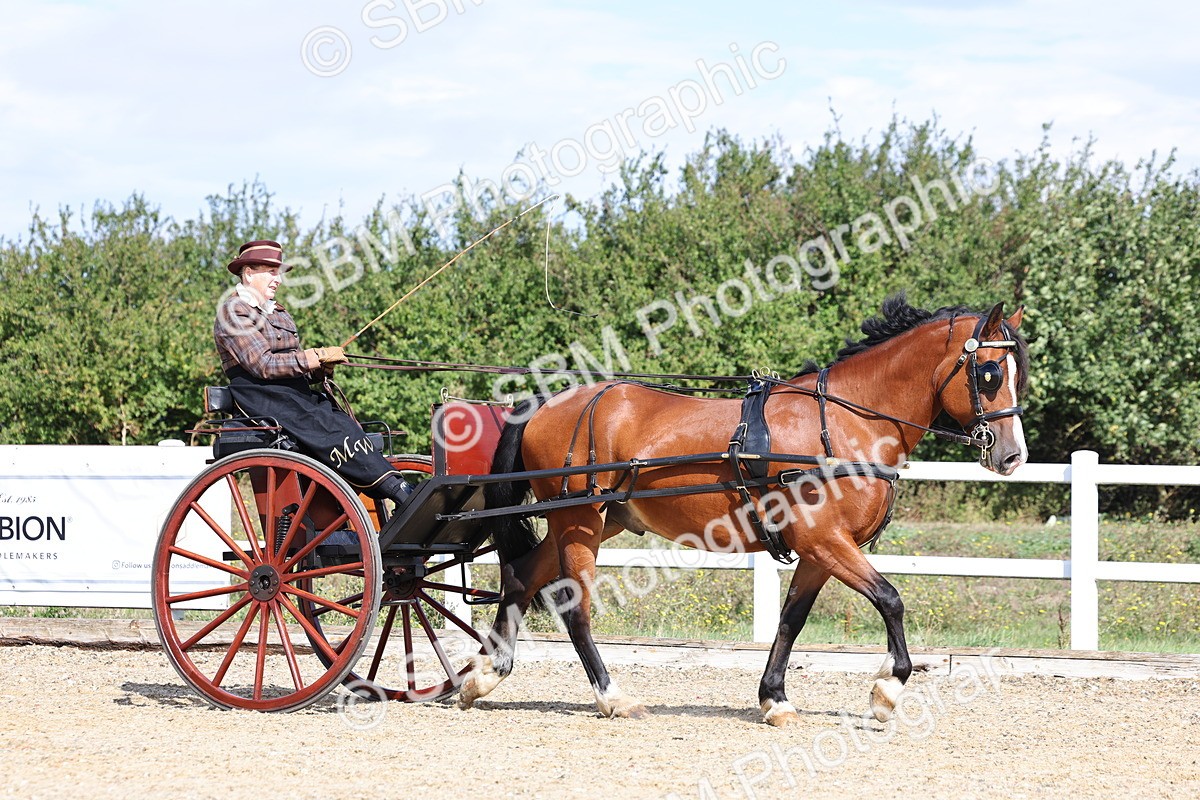 SBM_000858 - Class 8 - Novice Horse or Pony to any vehicle