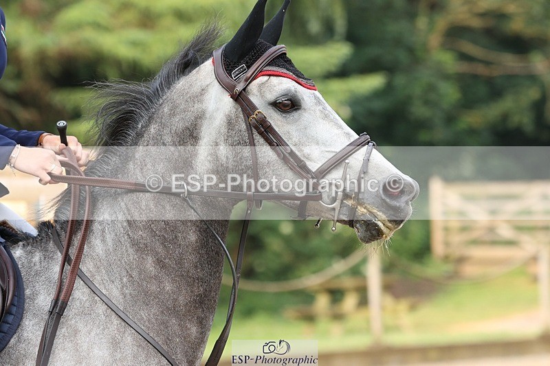 230617-081648-00141 - Cls 08a Pony 1.05