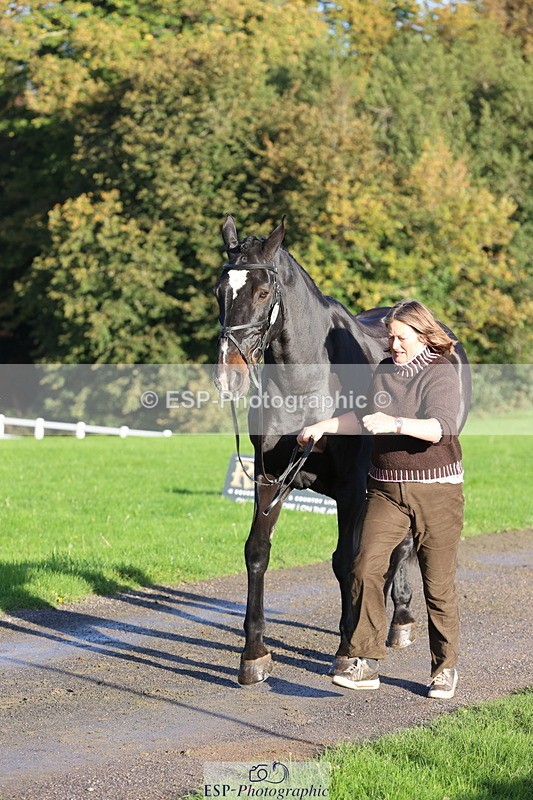 251026A-094515-22458 - D-343-Georgina.Owen