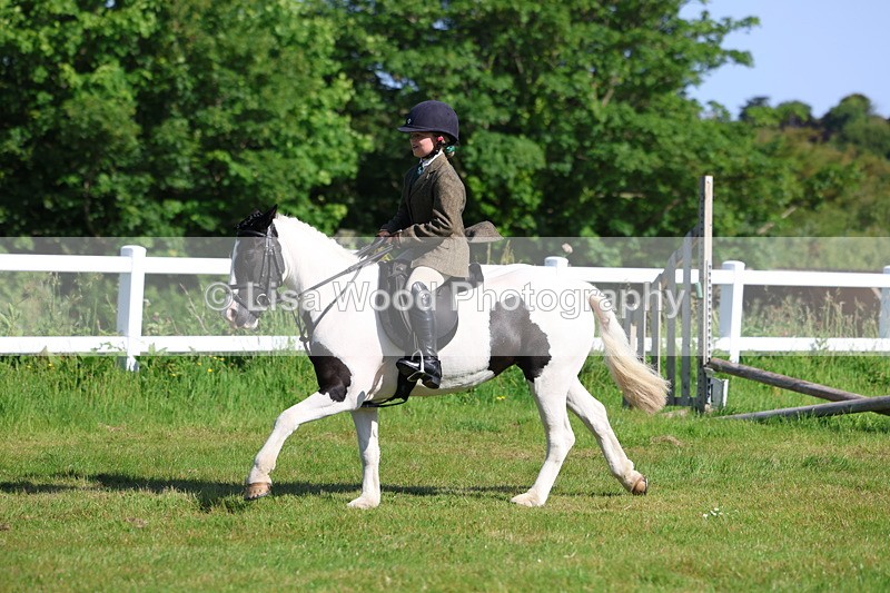 3E7A5993 - Class 27: Novice Working Hunter Pony
