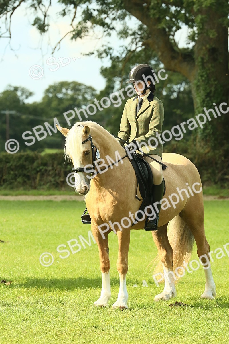 SBM_62599 - S63 - Other Coloured Horse Ridden