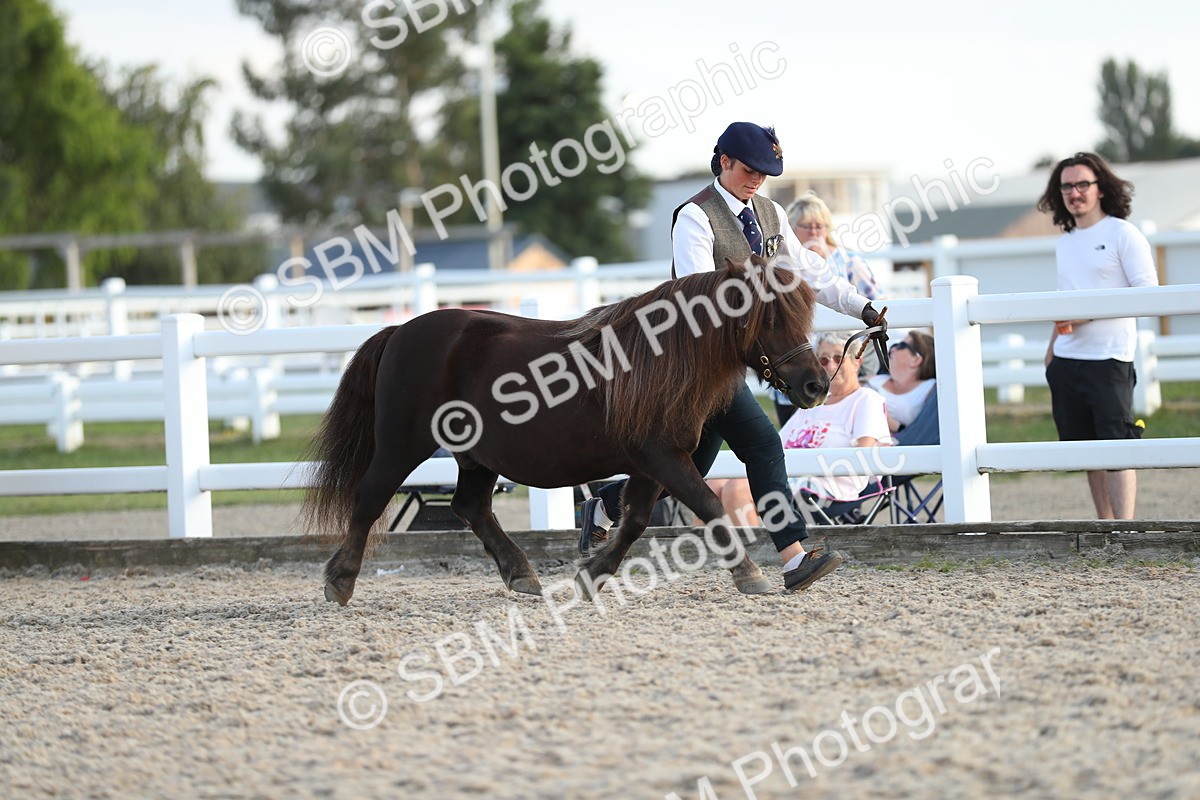 SBM_08906 - Class 29 IH Veteran Pony