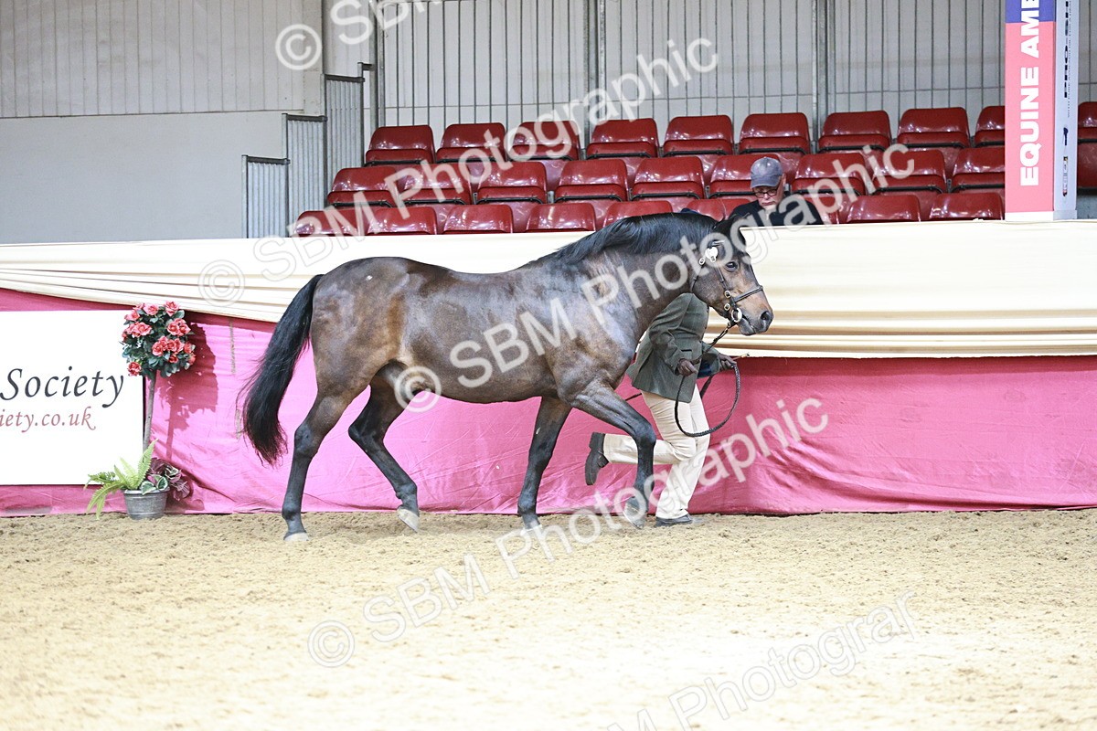 SBM_04669 - Class 7R - Regional IH Diamond