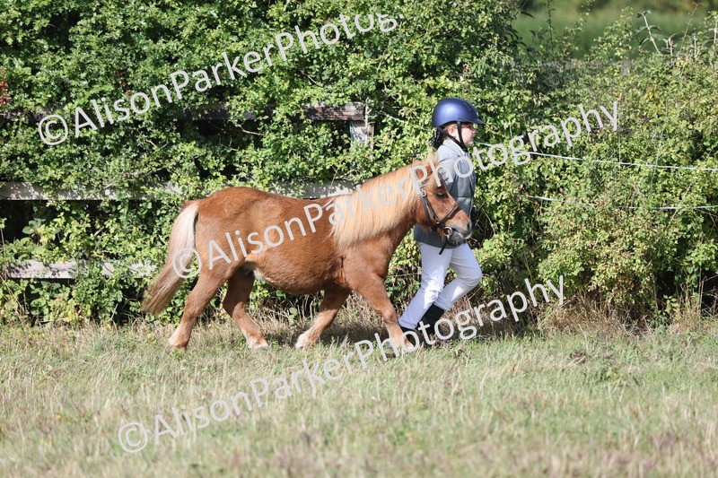 20250831-1610 - Class 22 - Mountain and Moorland Inhand