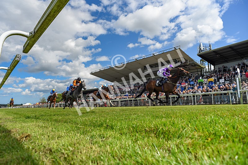 080624-Race 5-Ludos Landing-0561 - Race 5