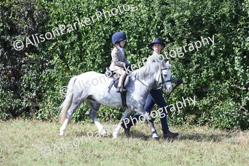 20250831-2628 - Class 17 - Lead Rein Pony