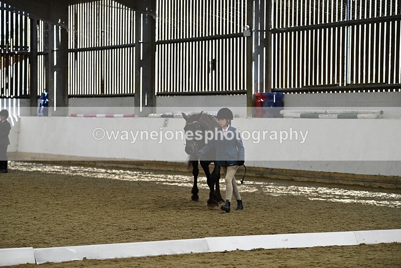 WJ5_4824 - Class 7 In hand coloured / odd coloured