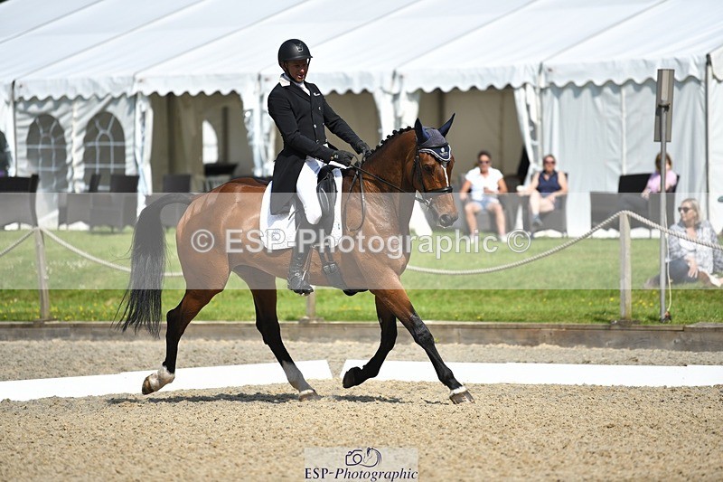 230525-102445-01705 - 312-J'ADORE_SALSA-Michael_Owen-WEDTrotUp+DR