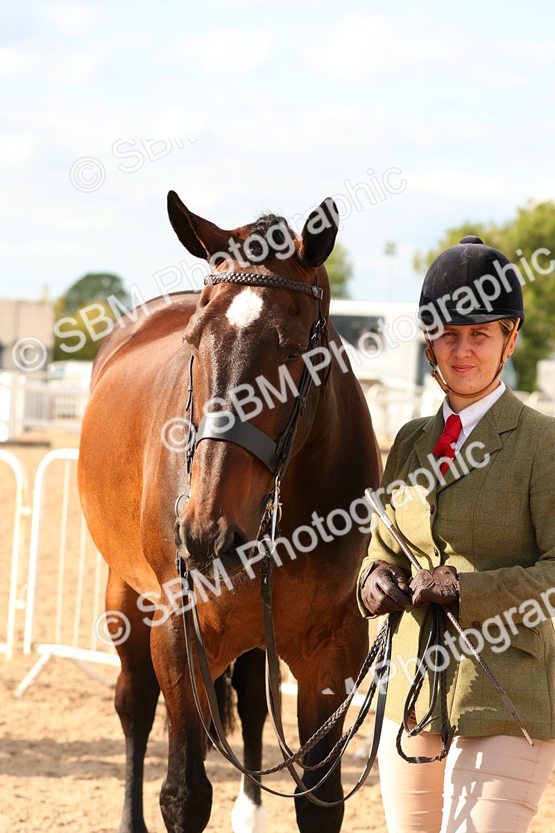 SBM_18388 - Class 318 - IH Part Bred Horse Pony