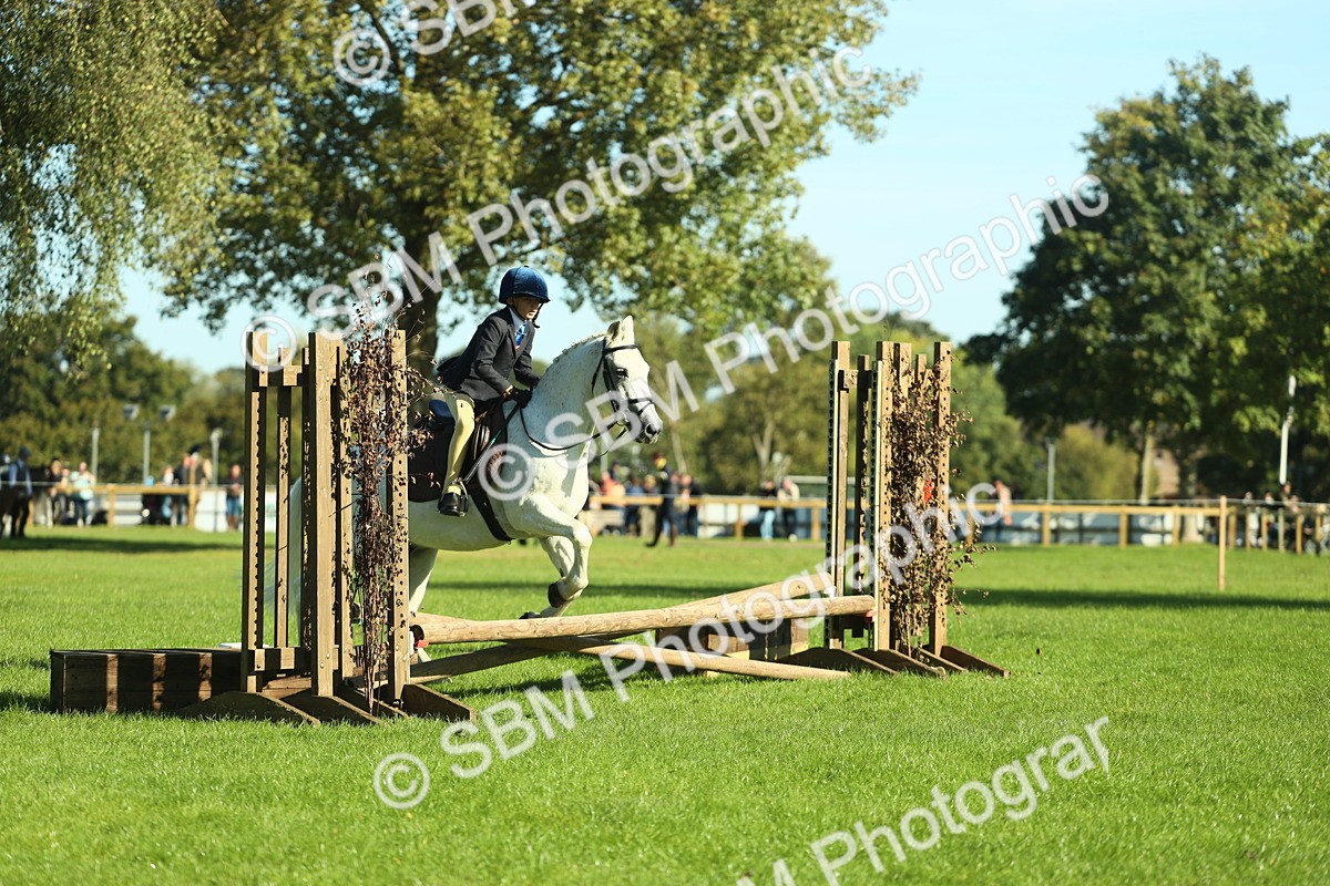 SBM_36476 - S29 - Novice & Newcomers Working Hunter Pony