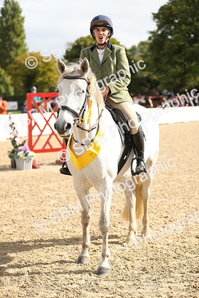 SBM_02045 - J34 - Veteran Rider 50cm