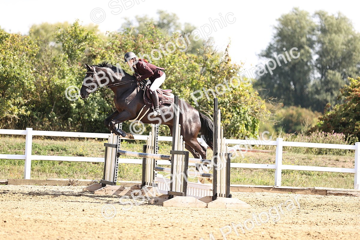 SBM_005744 - Class 9 - Senior British Novice - 90cm