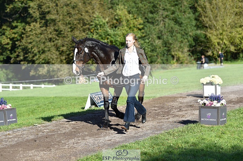 231022-104858-23511 - 489-MY.GALWAY.MAN-Daisy.Hood-TrotUp+SJ