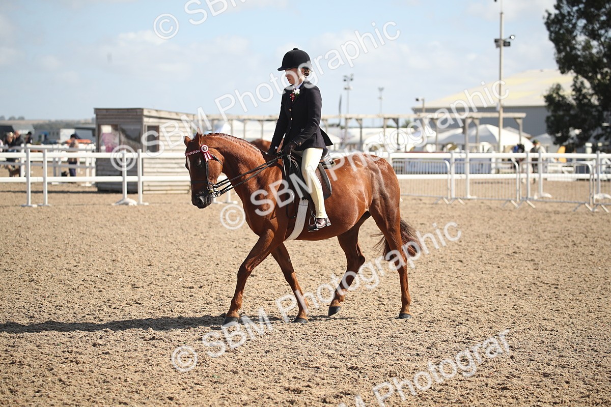 SBM_22944 - Class 603 - 2026 - Ridden Pre Vet