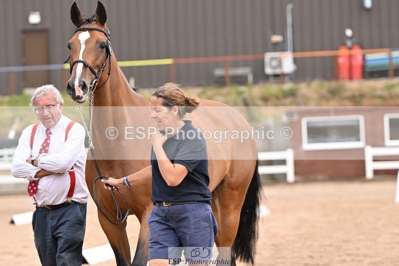 250716-151828-01856 - Trot Up 2.30 to 3.30