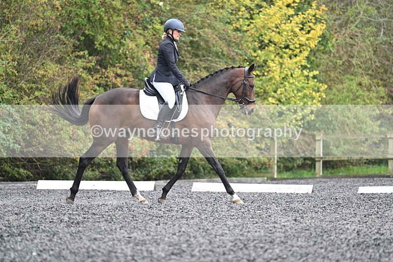 WJ7_3810 - Time 11:04 to 11:38