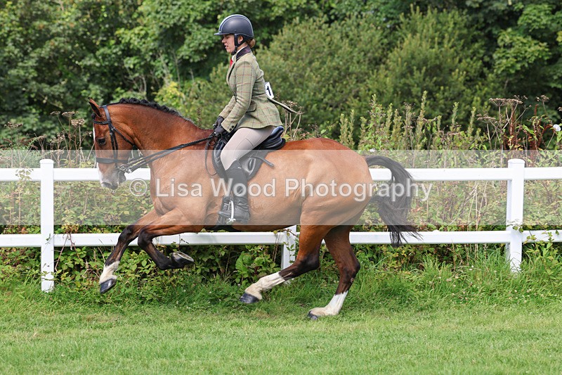3E7A8720 - Class 5: Working Show Horse