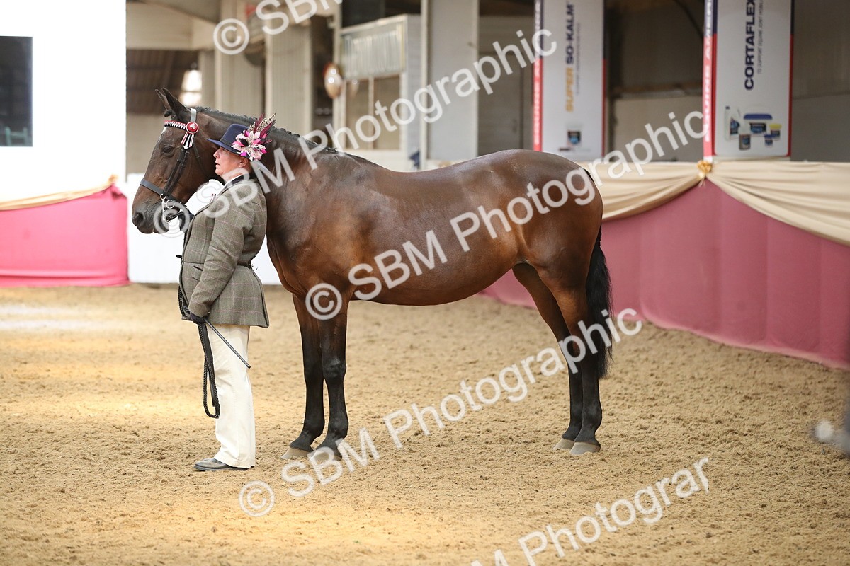 SBM_05330 - Class 8R - Regional IH Veteran