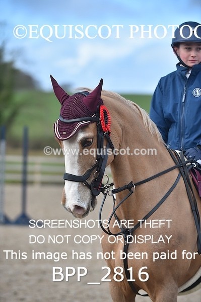BPP_2816 - CLASS 31 Pony Discovery / 90cm Open