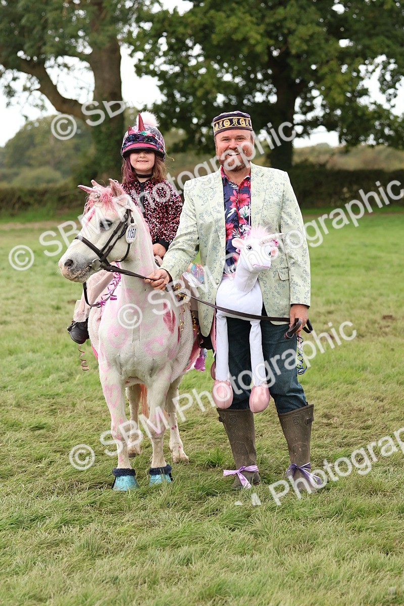 SBM_62175 - S37b - Best Unicorn