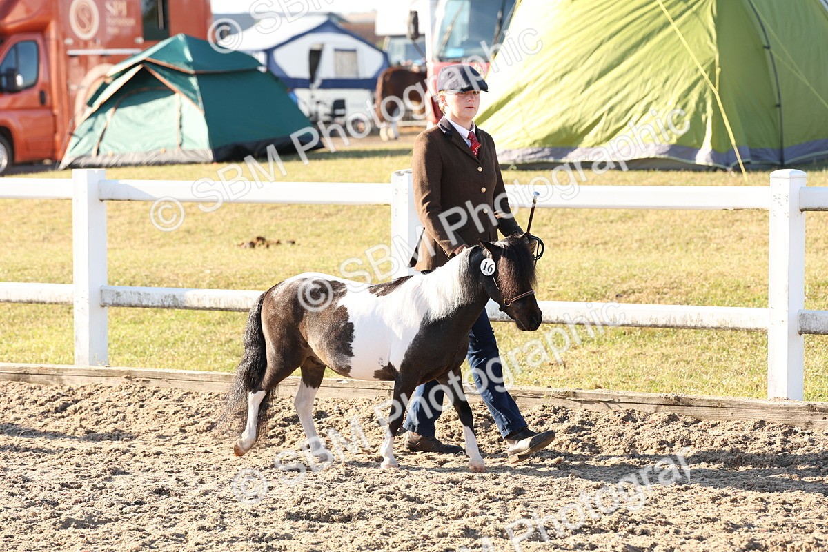 SBM_10757 - Class 201 - Best Turned Out - IH