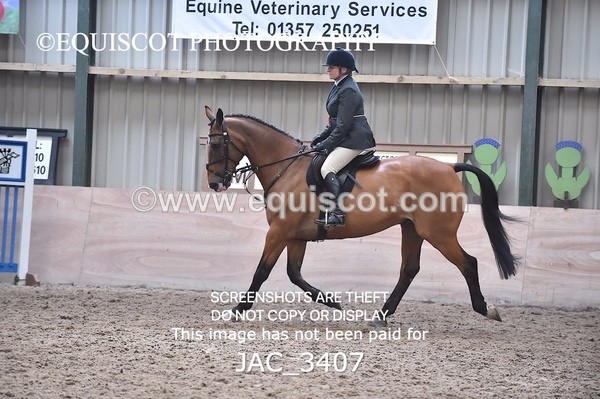 JAC_3407 - CLASS 8 BHS Scotland Riding Club Working Hunter Qualifier