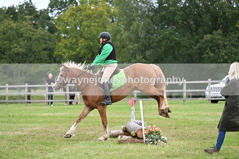 WJ7_7828 - 40cm Time 10:49 to 11:18