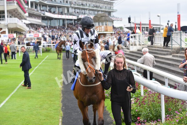 yr24072021r1-48 - Race 1 2.05pm Sky Bet Jump Jockeys Nunthorpe