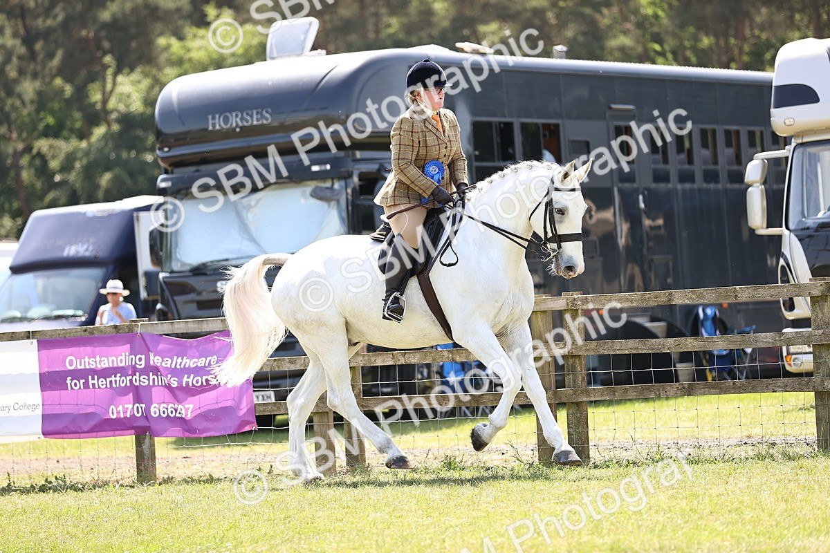 SBM_16193 - Class 79-80 - LIHS BSHA Rising Star Ridden Hunter