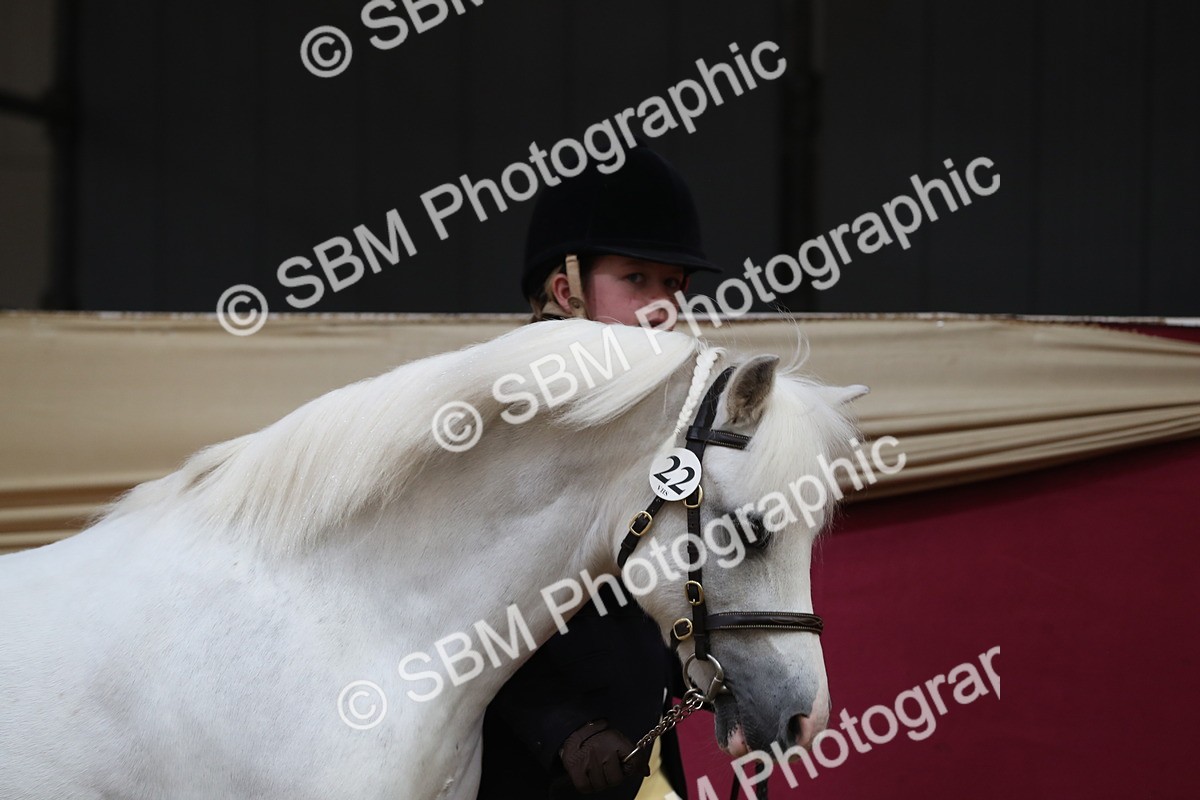 SBM_15094 - Class 501 M&M IH Supreme Final
