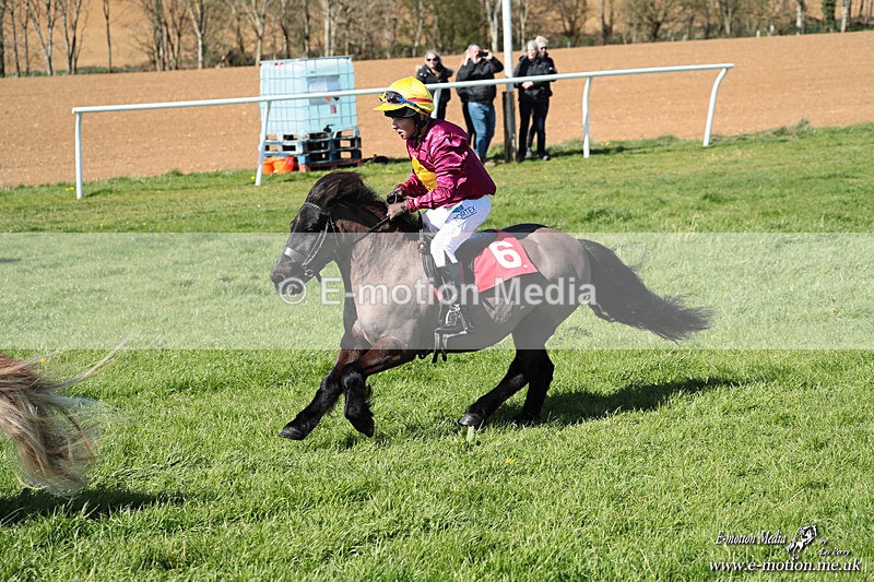 Shet 060426 184 - Shetland Pony Racing Paxford Races Easter Mon 06/04/26