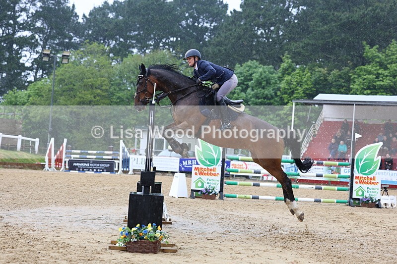 3E7A7431 - Class 8: Senior Foxhunter/1.20 open