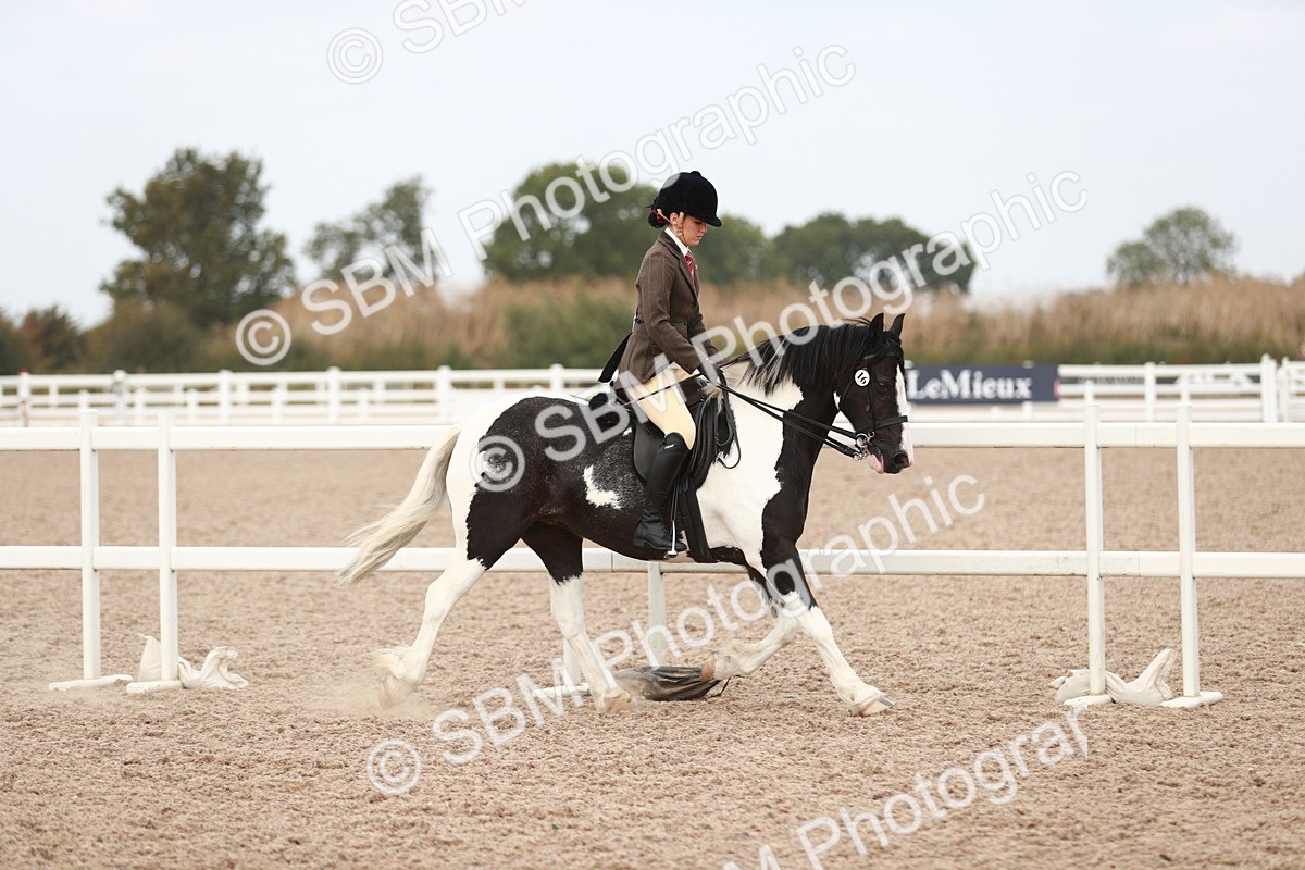 SBM_16625 - Class 214 Ridden Cob