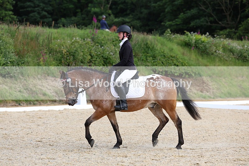 3E7A1456 - Class 2: Intro 2 2024 Section B