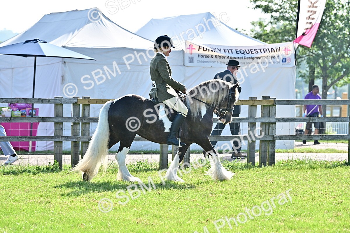 SBM_11450