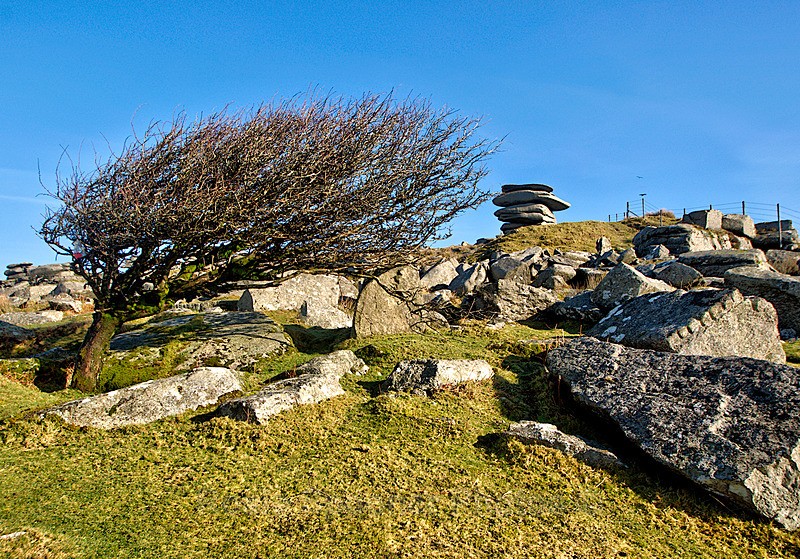 DM07 - Cheeswring and windswept tree - Greetings Cards - Liskeard and Bodmin Moor