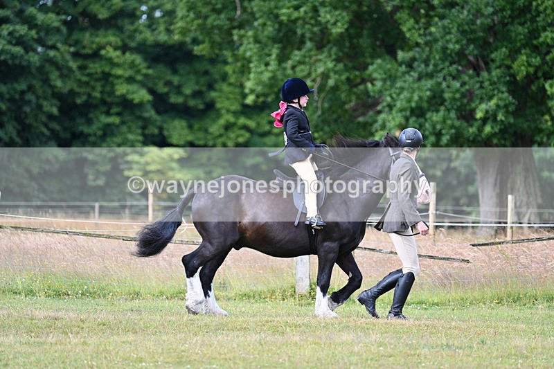 WJ7_4378 - Class 1 Lead Rein Pony