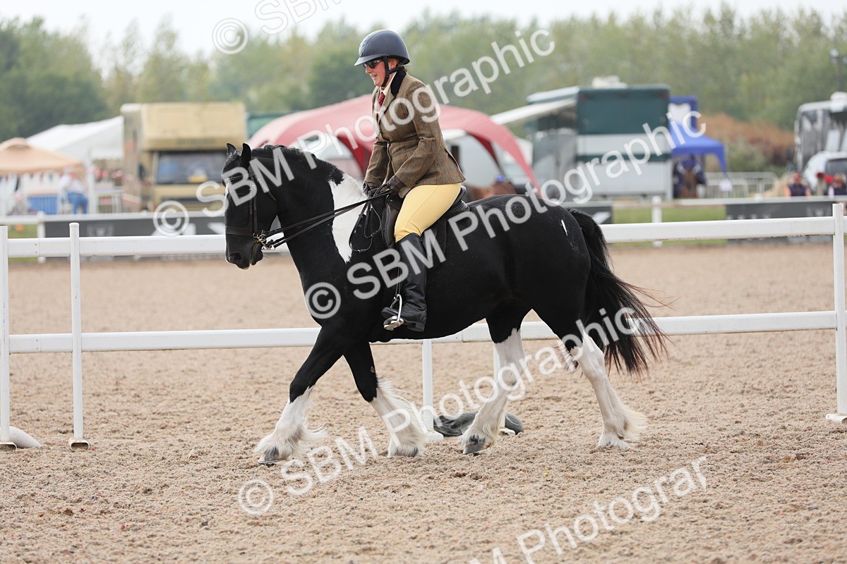 SBM_12743 - Class 307 Ridden Coloured Pony